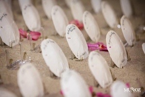 20130921-052541.jpg
